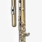 Choose your Trevor James flute